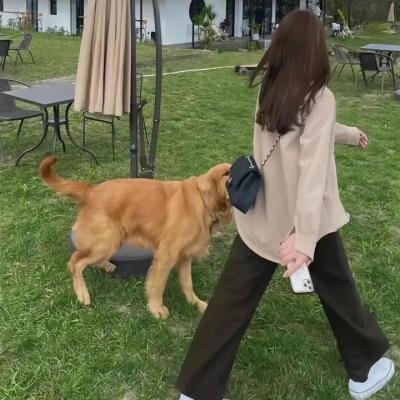 手工少女!