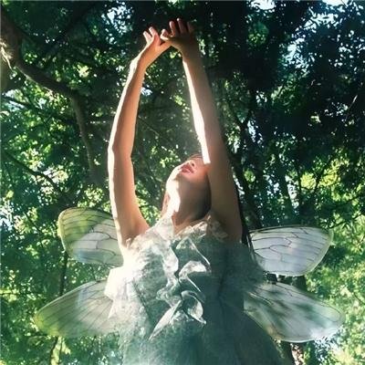 鸟儿们的奇幻冒险